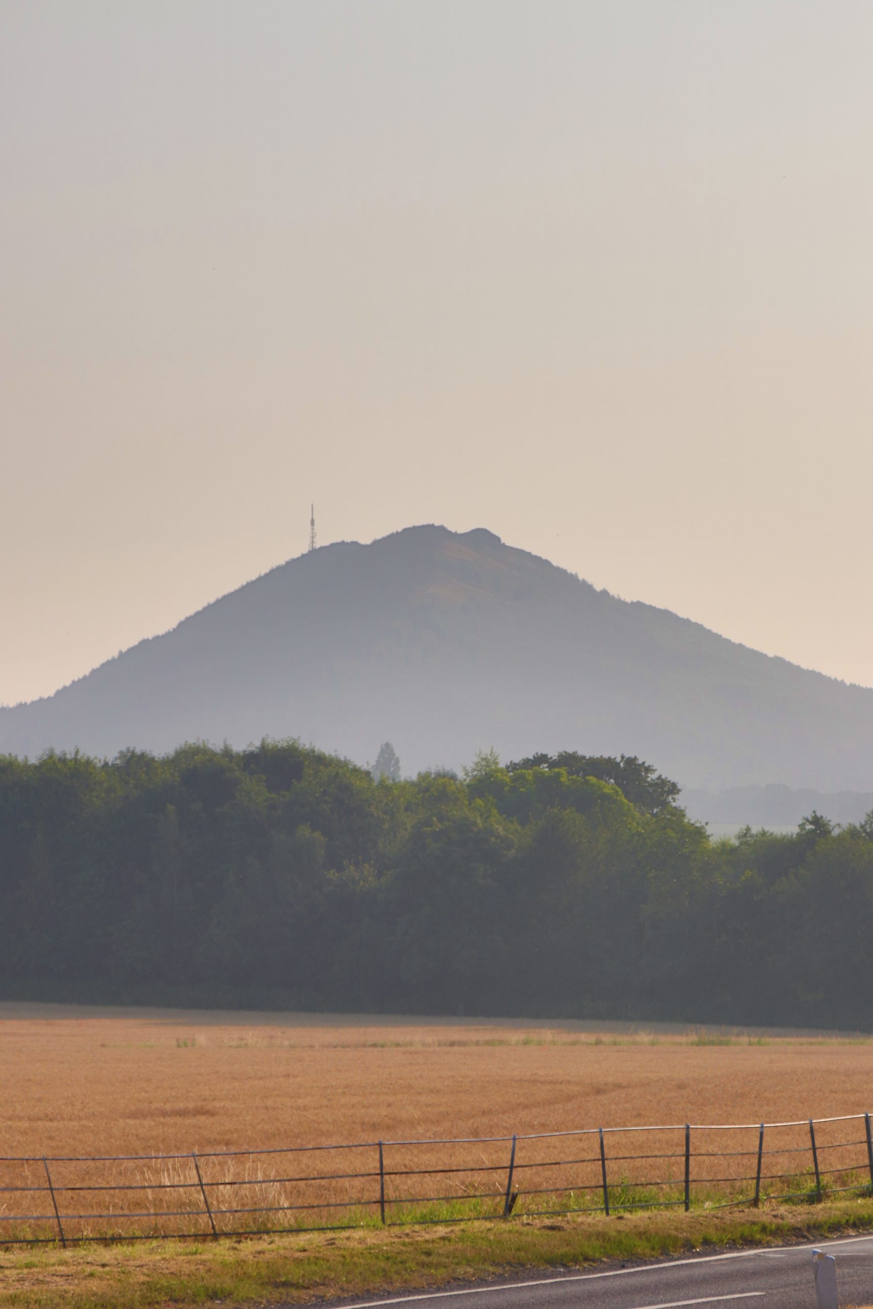IMG_3384